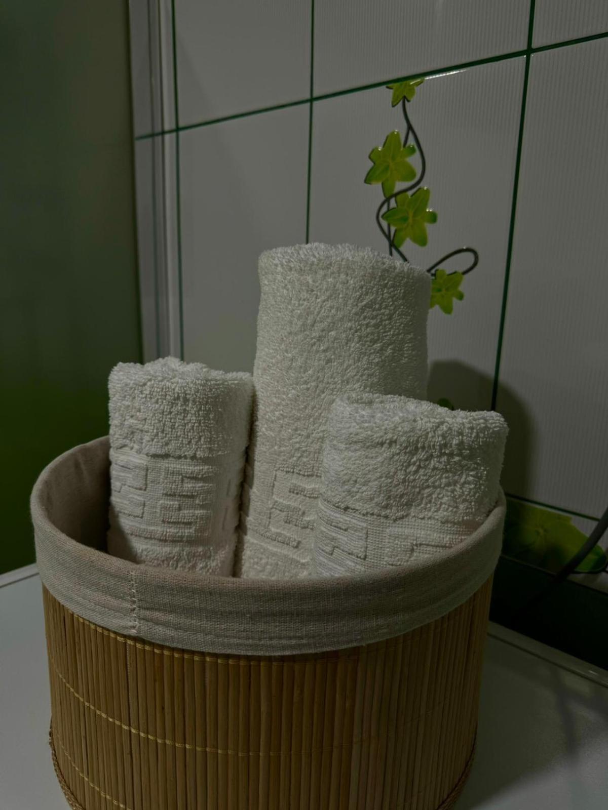 布拉索夫La Relax公寓 外观 照片